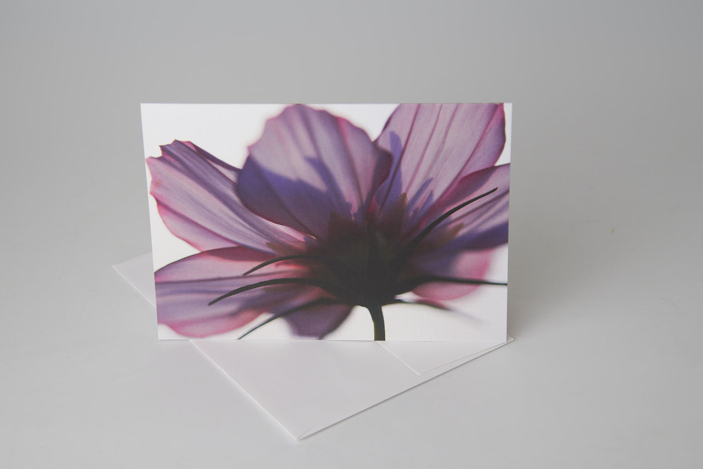 Flower Note Card 10