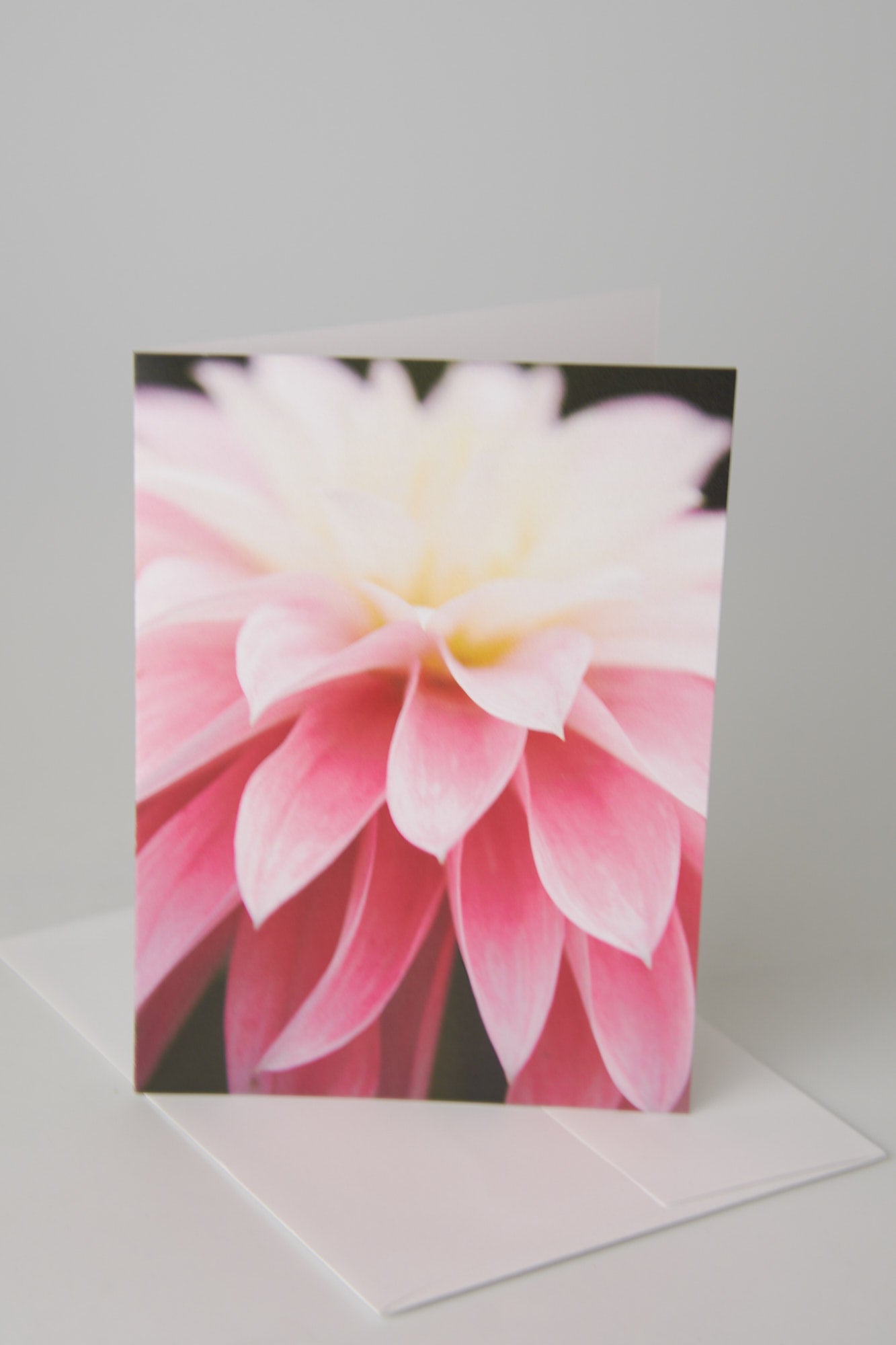 Flower Note Card 5
