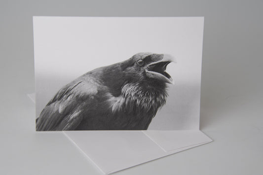 Wildlife Note Card 1