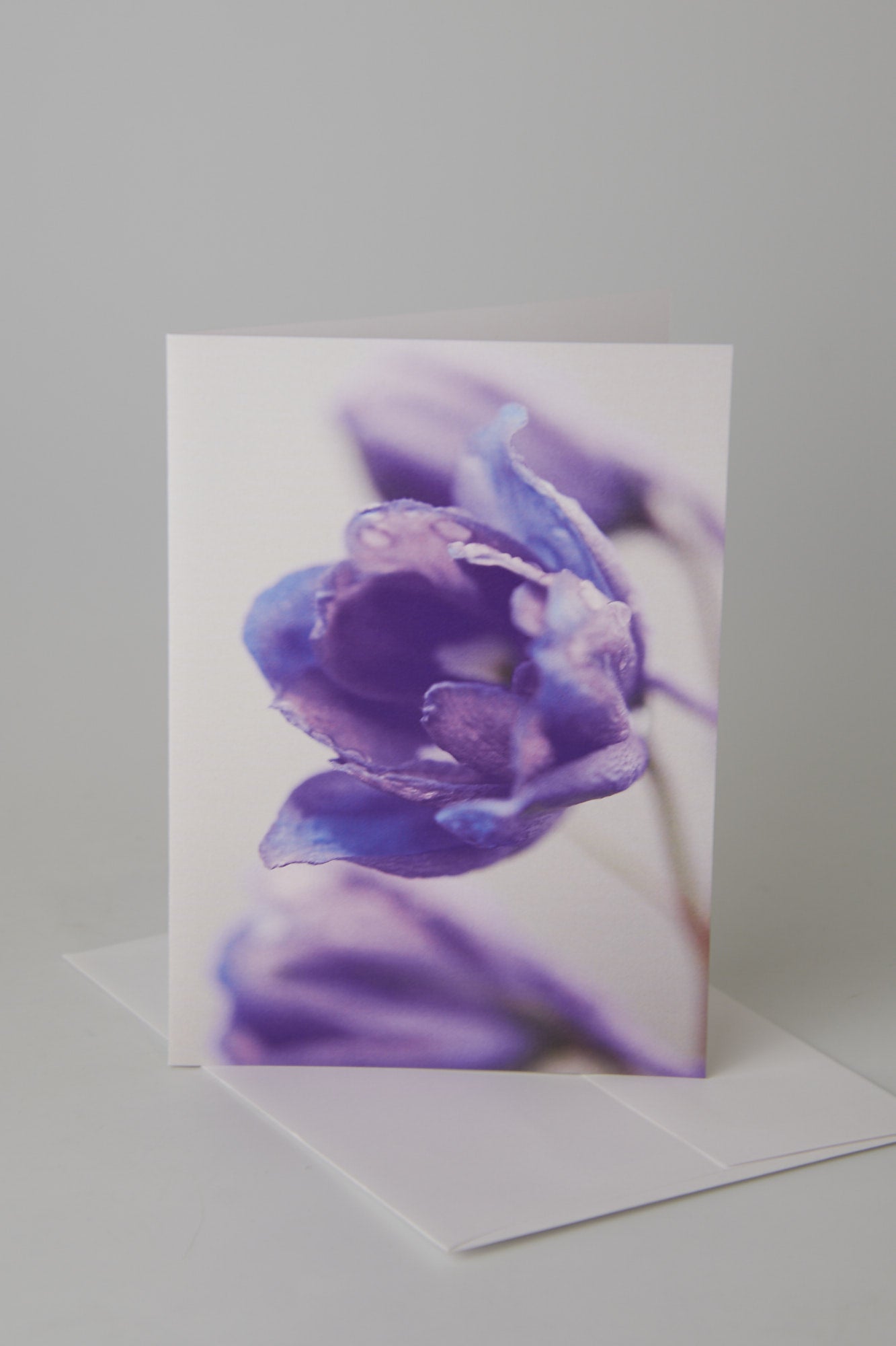 Flower Note Card 4