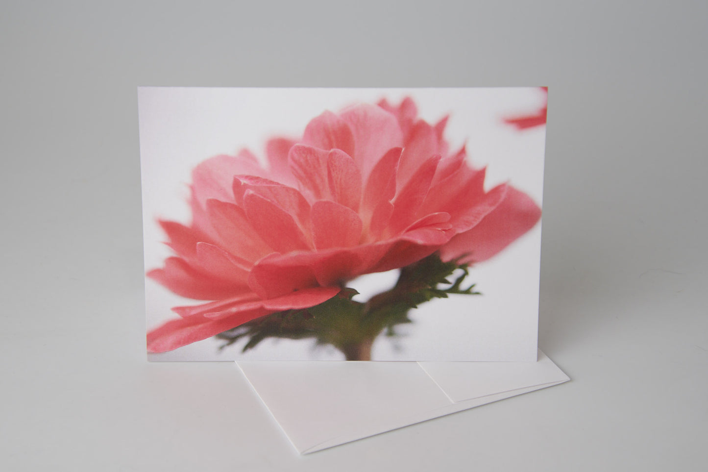 Flower Note Card 8