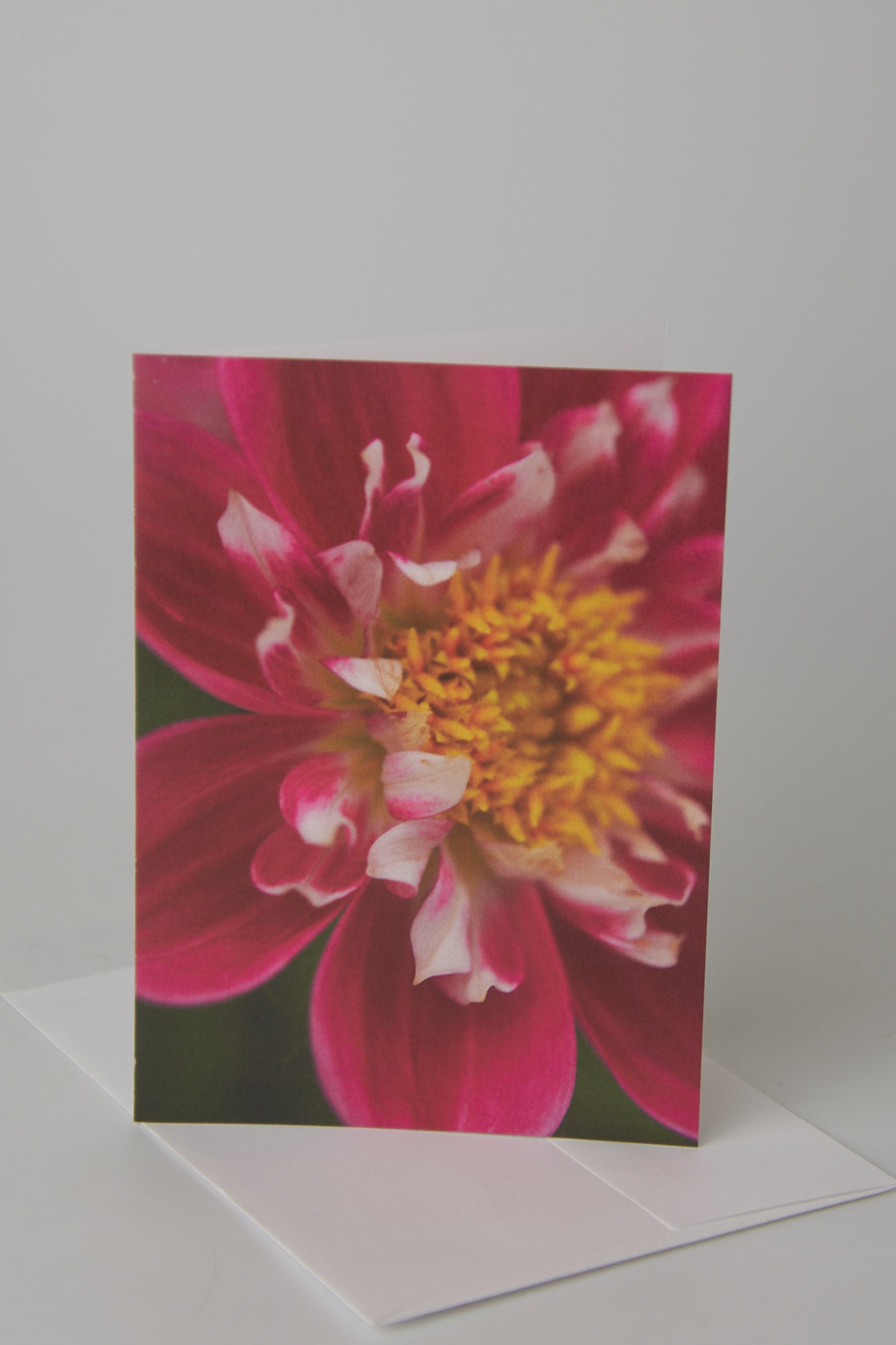 Flower Note Card 2