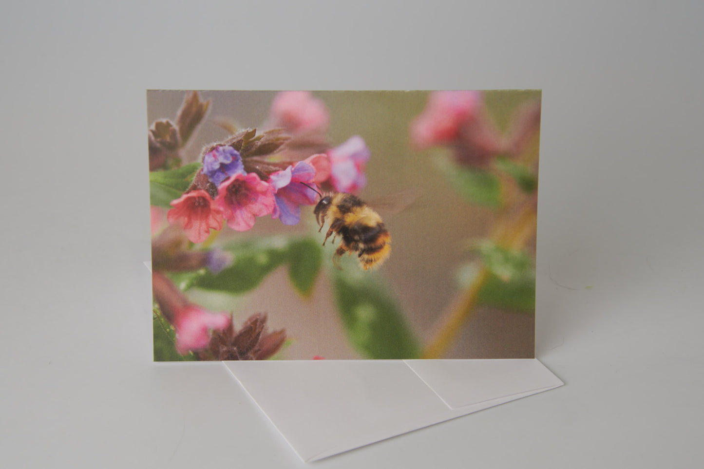 Flower Note Card 12